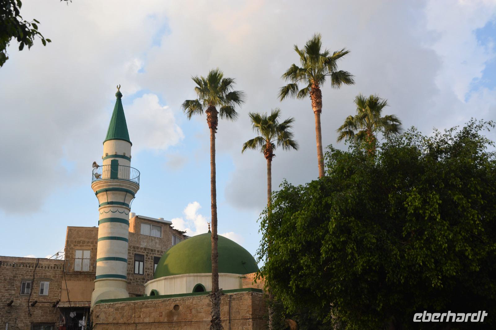 alles strebt nach oben