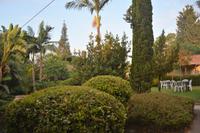 im Kibbuz in Galliläa