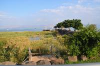 Blick zurück zum See