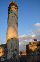 in der alten Synagoge