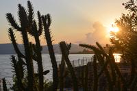 Abendstimmung mit Blick auf See Genezareth