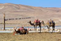 Warten auf Kundschaft? beim Beduinencamp