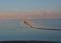 ist das ein Krokodil? Nein natürlich nicht, bei 34 % Salzgehalt!