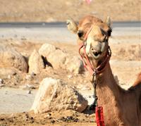 für heute Feierabend!