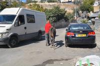 wieder am Tageslicht