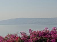  Blick auf den See Genezareth von der Kirche der Seligpreisungen