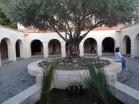 Tabgha - Brotvermehrungskirche