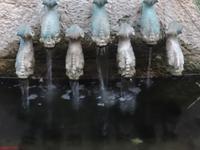 Tabgha - Brotvermehrungskirche