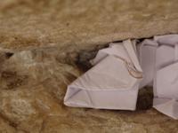 Jerusalem - An der Klagemauer, hinterlegen der Fürbitten