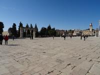 Jerusalem - auf dem Tempelberg