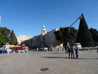 Bethlehem - Aufstellen des Weihnachtsbaumes auf dem Platz vor der Geburtskirche