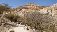 20220328 133729Wandern im Ein Gedi Nationalpark