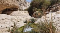 20220328 134301Wandern im Ein Gedi Nationalpark