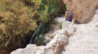 20220328 135243Wandern im Ein Gedi Nationalpark