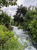 Israel Auch hier ist Wasser Leben