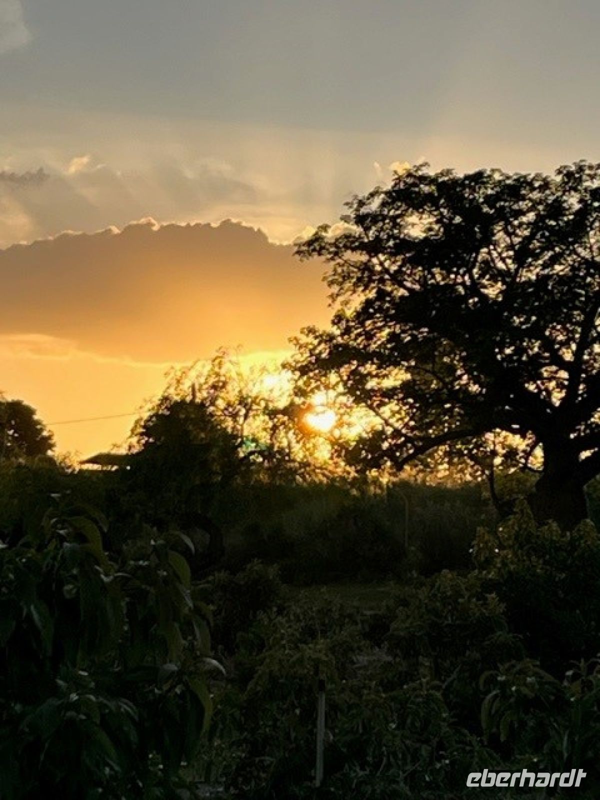 Kibbuz El Mul Golan Sonnenuntergang
