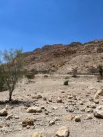 steinig und rauh aber voll Leben