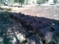 in den Golan-Höhen...