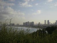 Skyline von Tel Aviv