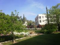 Berg der Seligpreisung