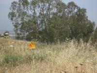 Golanhöhen - teilweise vermint