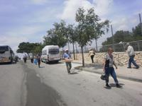 Picknick - alle helfen mit...