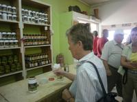 Verkostung Ölmühle Avtalion