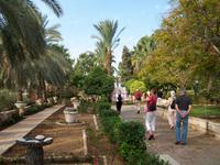 Auf dem Berg der Seligpreisungen bei Tabgha