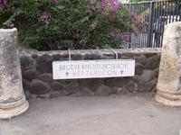 Tabgha- Ort der Brotvermehrung