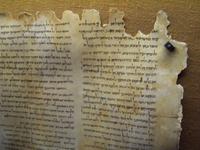 Qumran- Kopie einer antiken Schriftrolle