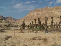 Blick in die Judäische Wüste