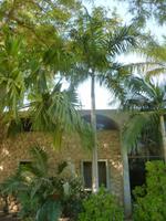 5.Tag, 28.10.2013: Botanischer Garten im Kibbuz 