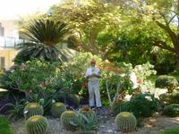 5.Tag, 28.10.2013: Botanischer Garten im Kibbuz 