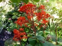 5.Tag, 28.10.2013: Botanischer Garten im Kibbuz 