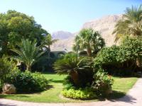 5.Tag, 28.10.2013: Botanischer Garten im Kibbuz 