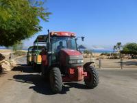 5.Tag, 28.10.2013: SPA En Gedi am Toten Meer (Shuttle-Traktor zum Meer)