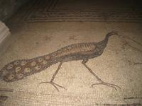 in der Brotvermehrungskirche