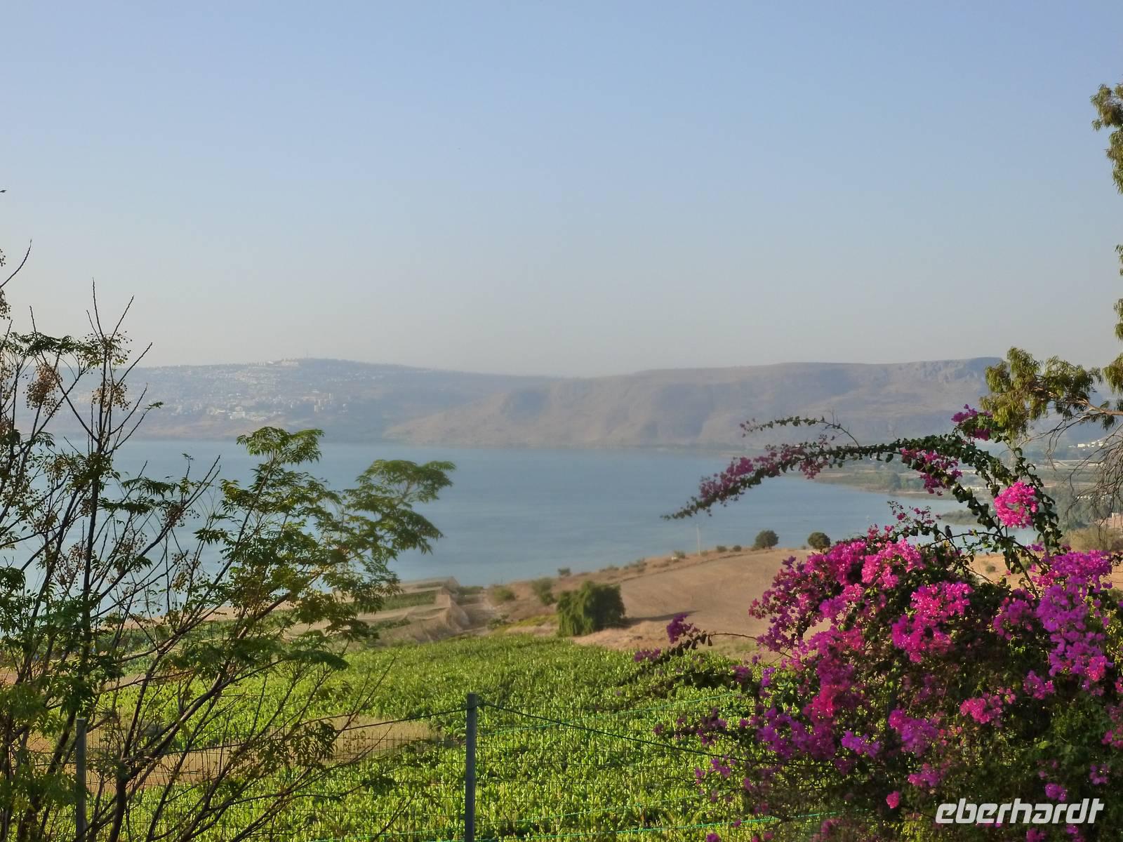 3.Tag, 26.10.2013: See Genezareth