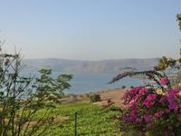 3.Tag, 26.10.2013: See Genezareth