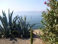 3.Tag, 26.10.2013: Kapernaum am See Genezareth