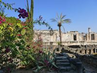 3.Tag, 26.10.2013: Ausgrabungsgelände Kapernaum