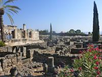 3.Tag, 26.10.2013: Ausgrabungsgelände Kapernaum