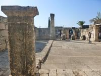 3.Tag, 26.10.2013: Ausgrabungsgelände Kapernaum (Synagoge)