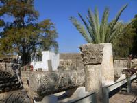 3.Tag, 26.10.2013: Ausgrabungsgelände Kapernaum