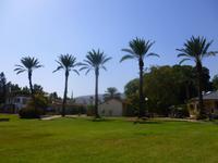 3.Tag, 26.10.2013: Kibbuz 