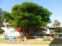 3.Tag, 26.10.2013: Kibbuz 