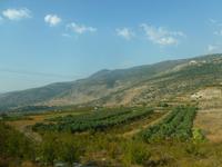 3.Tag, 26.10.2013: unterwegs auf den Golan-Höhen...