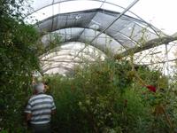 4.Tag, 27.10.2013: Besuch eines Gewächshauses im Kibbuz 