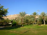 5.Tag, 28.10.2013: Kibbuz 