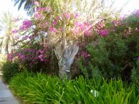 5.Tag, 28.10.2013: Kibbuz 